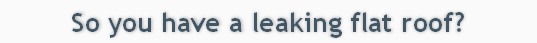 So you have a leaking flat roof?
